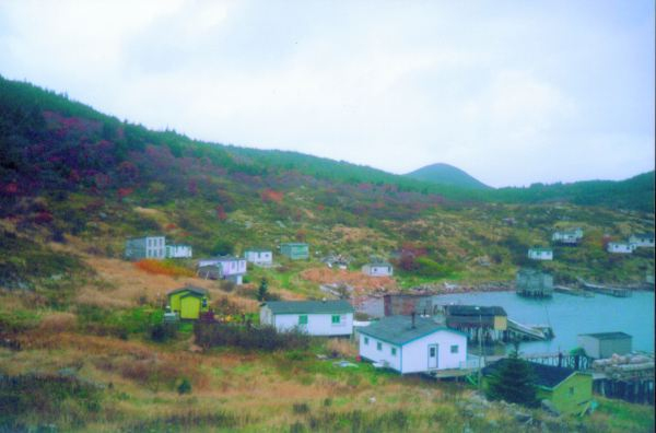 510: View of Red Island harbour looking northwest. (circa 2000) [courtesy of Madonna (Bishop) Mulrooney]